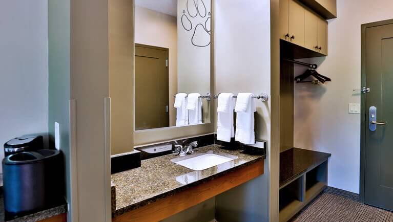 Deluxe Wolf Den Suite (Accessible Bath) | Premium Suite | Great Wolf